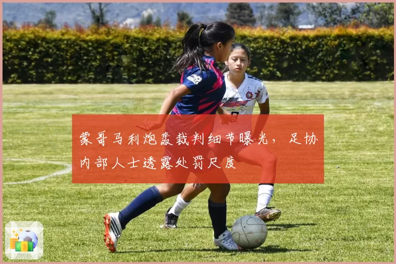 蒙哥马利炮轰裁判细节曝光，足协内部人士透露处罚尺度